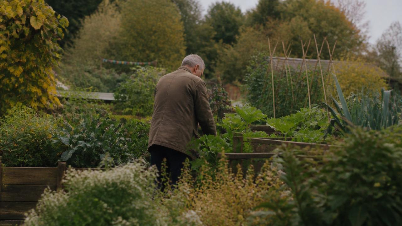 Veterans and Gardening: Finding Calm After Service